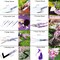 Garden Tools Set, JUMPHIGH 10 Pieces Gardening Tools with Floral Print, Ergonomic Handle Trowel Rake Weeder Pruner Shears Sprayer, Garden Hand Tools with Carrying Case Gardening Gifts for Women Father
